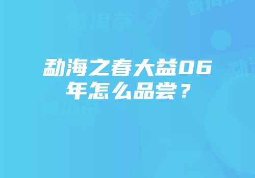 勐海之春大益06年怎么品尝？