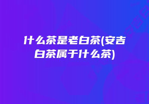 什么茶是老白茶(安吉白茶属于什么茶)