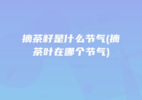 摘茶籽是什么节气(摘茶叶在哪个节气)