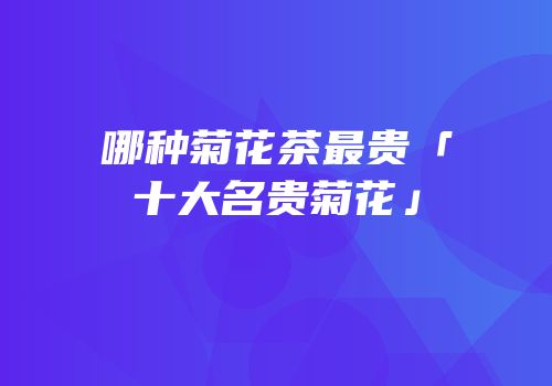 哪种菊花茶最贵「十大名贵菊花」