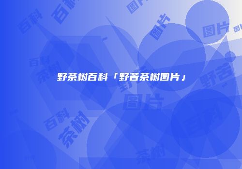 野茶树百科「野苦茶树图片」