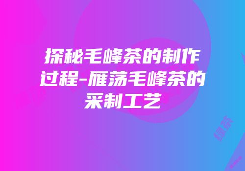 探秘毛峰茶的制作过程-雁荡毛峰茶的采制工艺