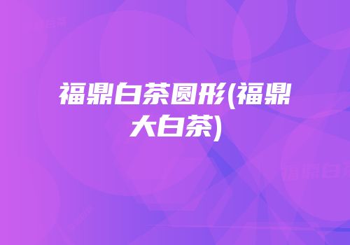 福鼎白茶圆形(福鼎大白茶)