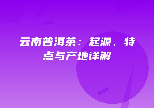 云南普洱茶：起源、特点与产地详解