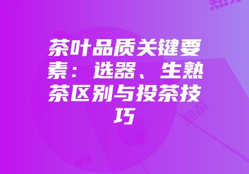 茶叶品质关键要素：选器、生熟茶区别与投茶技巧