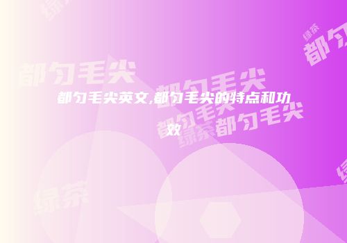 都匀毛尖英文,都匀毛尖的特点和功效