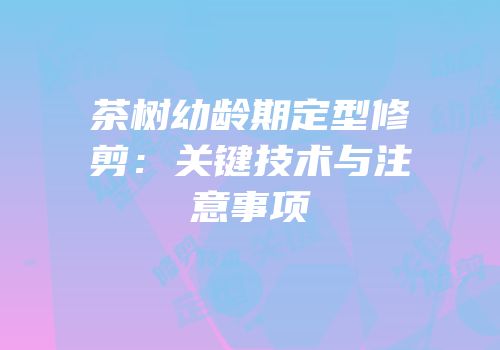 茶树幼龄期定型修剪：关键技术与注意事项