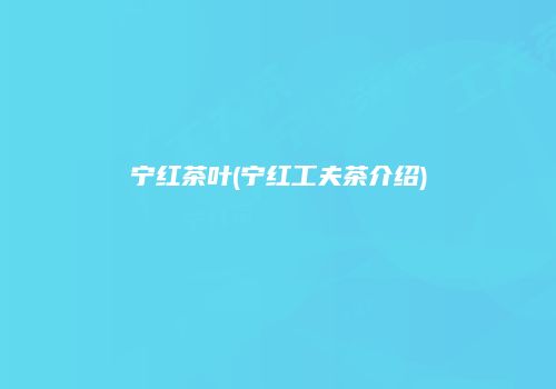 宁红茶叶(宁红工夫茶介绍)