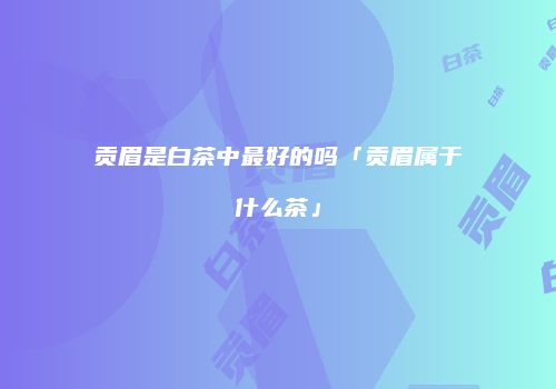 贡眉是白茶中最好的吗「贡眉属于什么茶」