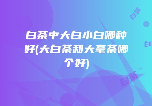 白茶中大白小白哪种好(大白茶和大毫茶哪个好)