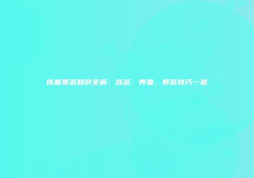 铁壶煮茶知识全解：选茶、养壶、煮茶技巧一览