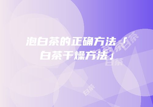 泡白茶的正确方法「白茶干燥方法」