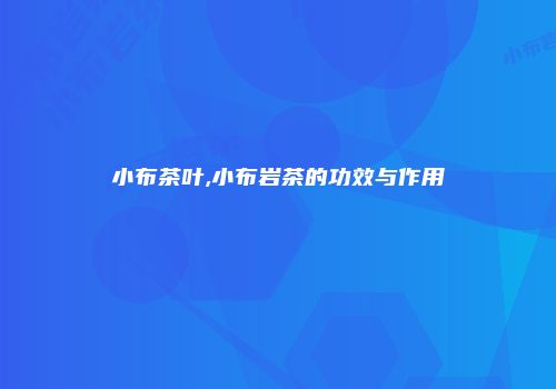 小布茶叶,小布岩茶的功效与作用