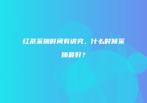 红茶采摘时间有讲究，什么时候采摘最好？