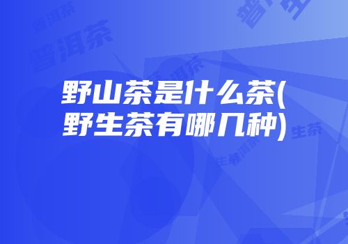 野山茶是什么茶(野生茶有哪几种)