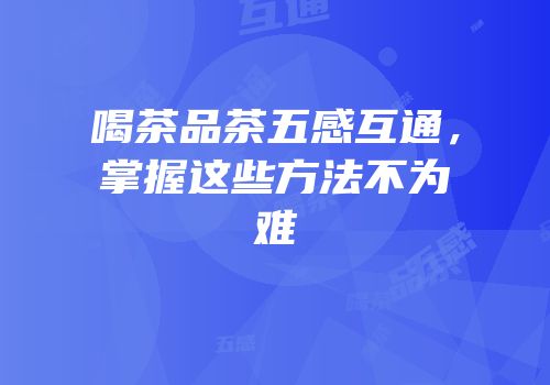喝茶品茶五感互通，掌握这些方法不为难