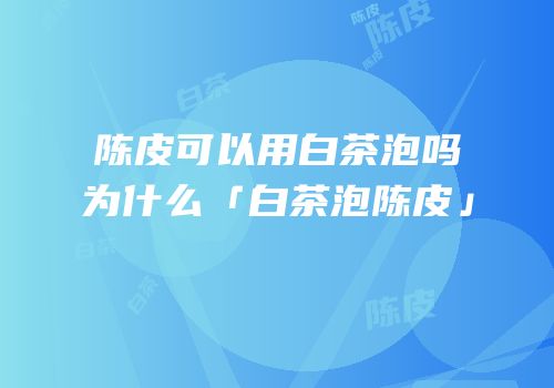 陈皮可以用白茶泡吗为什么「白茶泡陈皮」