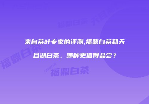 来自茶叶专家的评测,福鼎白茶和天目湖白茶，哪种更值得品尝？