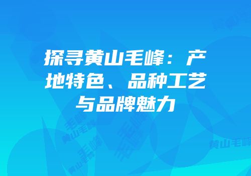 探寻黄山毛峰：产地特色、品种工艺与品牌魅力