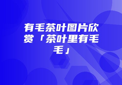 有毛茶叶图片欣赏「茶叶里有毛毛」