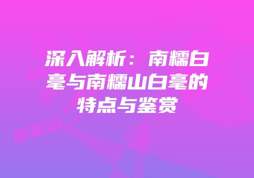 深入解析：南糯白毫与南糯山白毫的特点与鉴赏