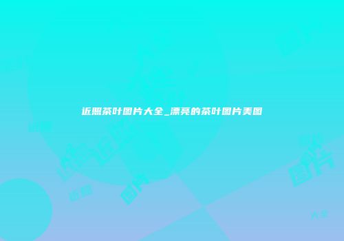 近照茶叶图片大全_漂亮的茶叶图片美图