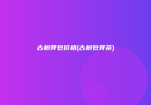 古树芽包价格(古树包芽茶)