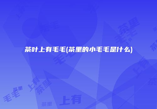 茶叶上有毛毛(茶里的小毛毛是什么)