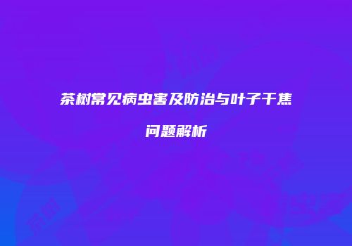茶树常见病虫害及防治与叶子干焦问题解析