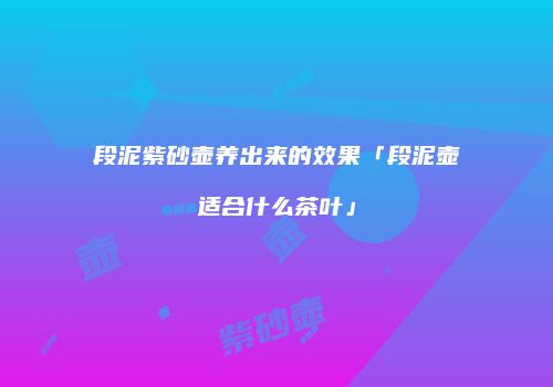 段泥紫砂壶养出来的效果「段泥壶适合什么茶叶」