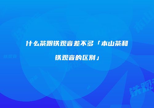 什么茶跟铁观音差不多「本山茶和铁观音的区别」
