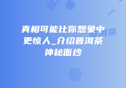 真相可能比你想象中更惊人_介绍普洱茶神秘面纱