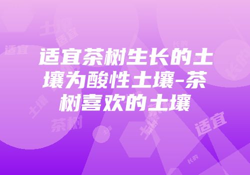 适宜茶树生长的土壤为酸性土壤-茶树喜欢的土壤