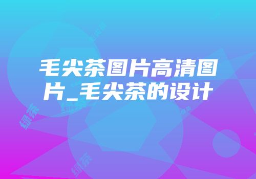 毛尖茶图片高清图片_毛尖茶的设计