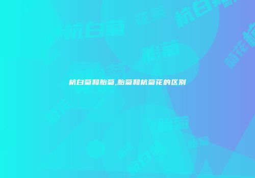杭白菊和胎菊,胎菊和杭菊花的区别