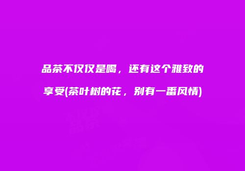 品茶不仅仅是喝，还有这个雅致的享受(茶叶树的花，别有一番风情)