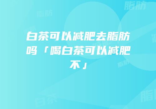 白茶可以减肥去脂肪吗「喝白茶可以减肥不」