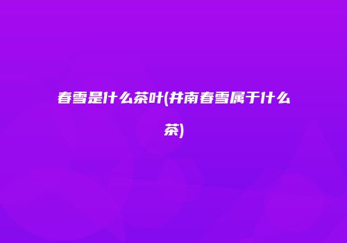 春雪是什么茶叶(井南春雪属于什么茶)
