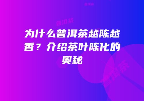 为什么普洱茶越陈越香？介绍茶叶陈化的奥秘
