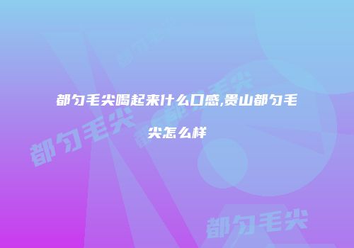 都匀毛尖喝起来什么口感,贵山都匀毛尖怎么样