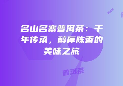 名山名寨普洱茶：千年传承，醇厚陈香的美味之旅