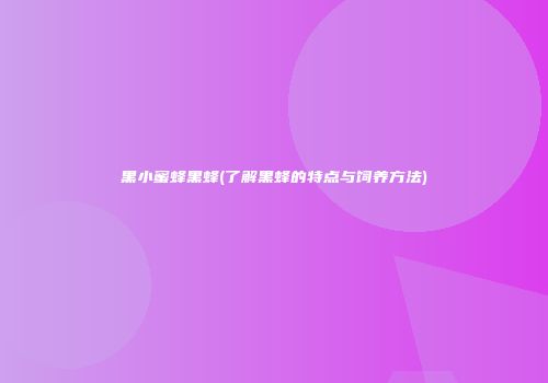 黑小蜜蜂黑蜂(了解黑蜂的特点与饲养方法)
