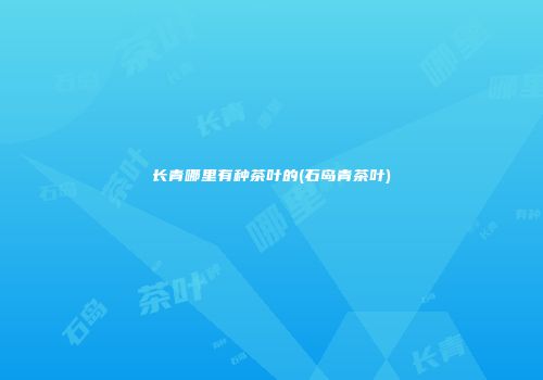 长青哪里有种茶叶的(石岛青茶叶)