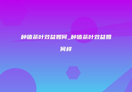 种值茶叶效益如何_种值茶叶效益如何样