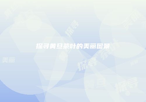 探寻黄旦茶叶的美丽图景