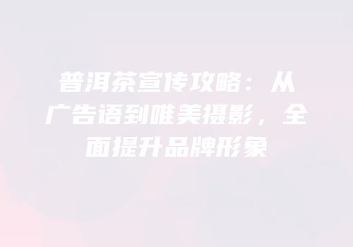 普洱茶宣传攻略：从广告语到唯美摄影，全面提升品牌形象