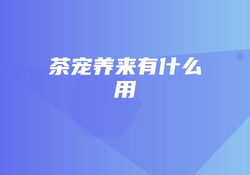 茶宠养来有什么用