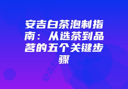 安吉白茶泡制指南：从选茶到品茗的五个关键步骤