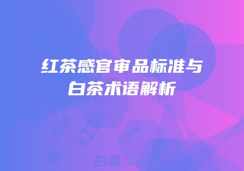 红茶感官审品标准与白茶术语解析