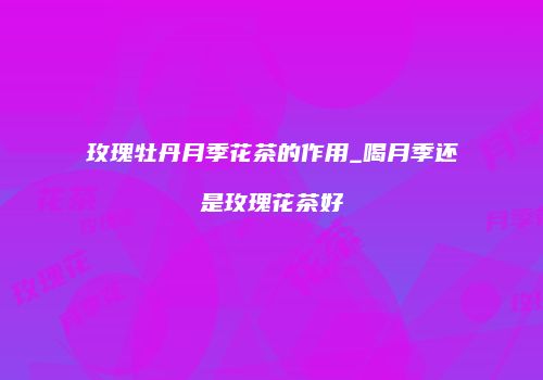 玫瑰牡丹月季花茶的作用_喝月季还是玫瑰花茶好